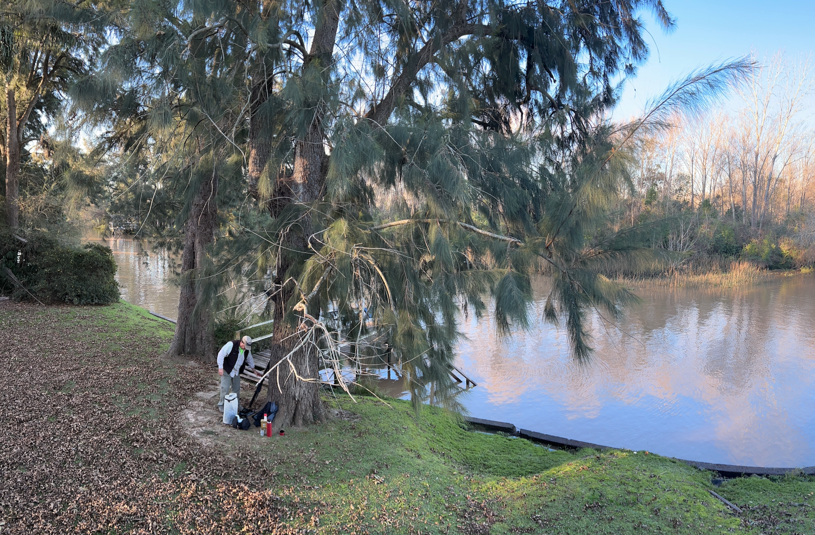 Día completo con almuerzo en una isla del Delta