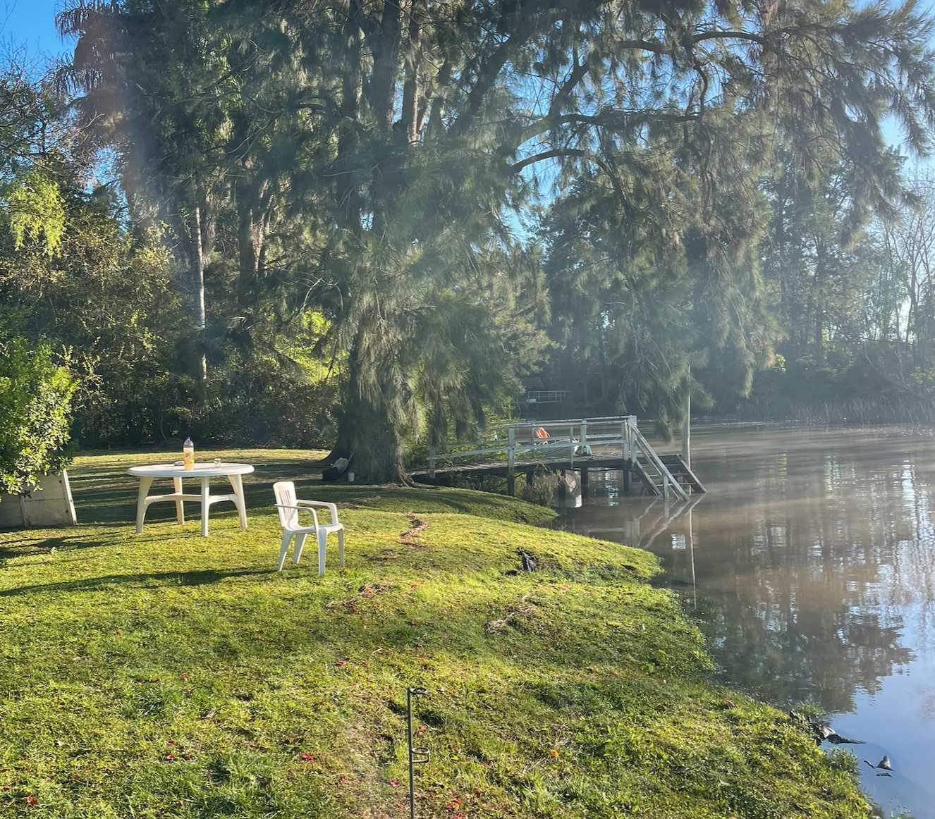Vegetación del Delta reflejada en el agua