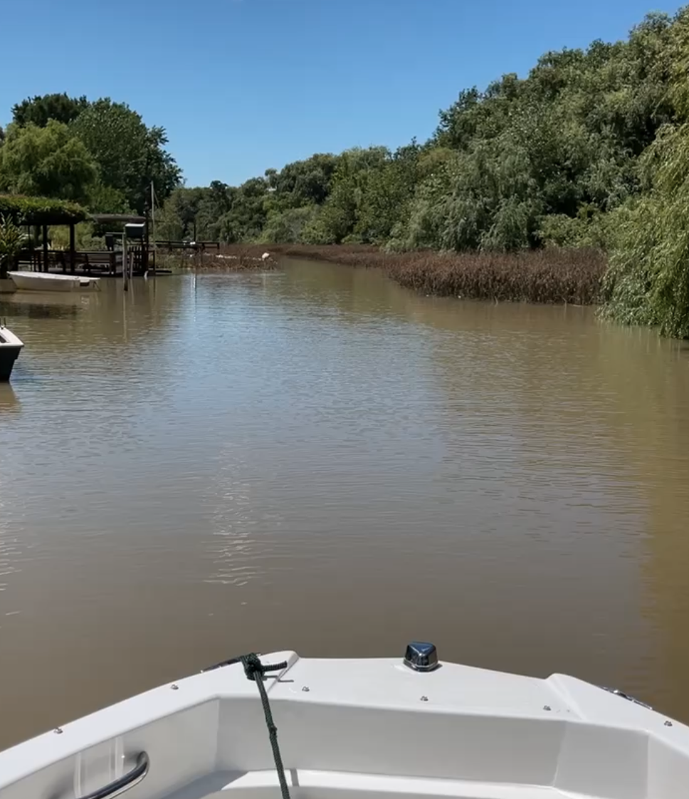Isla del Delta vista desde la lancha3