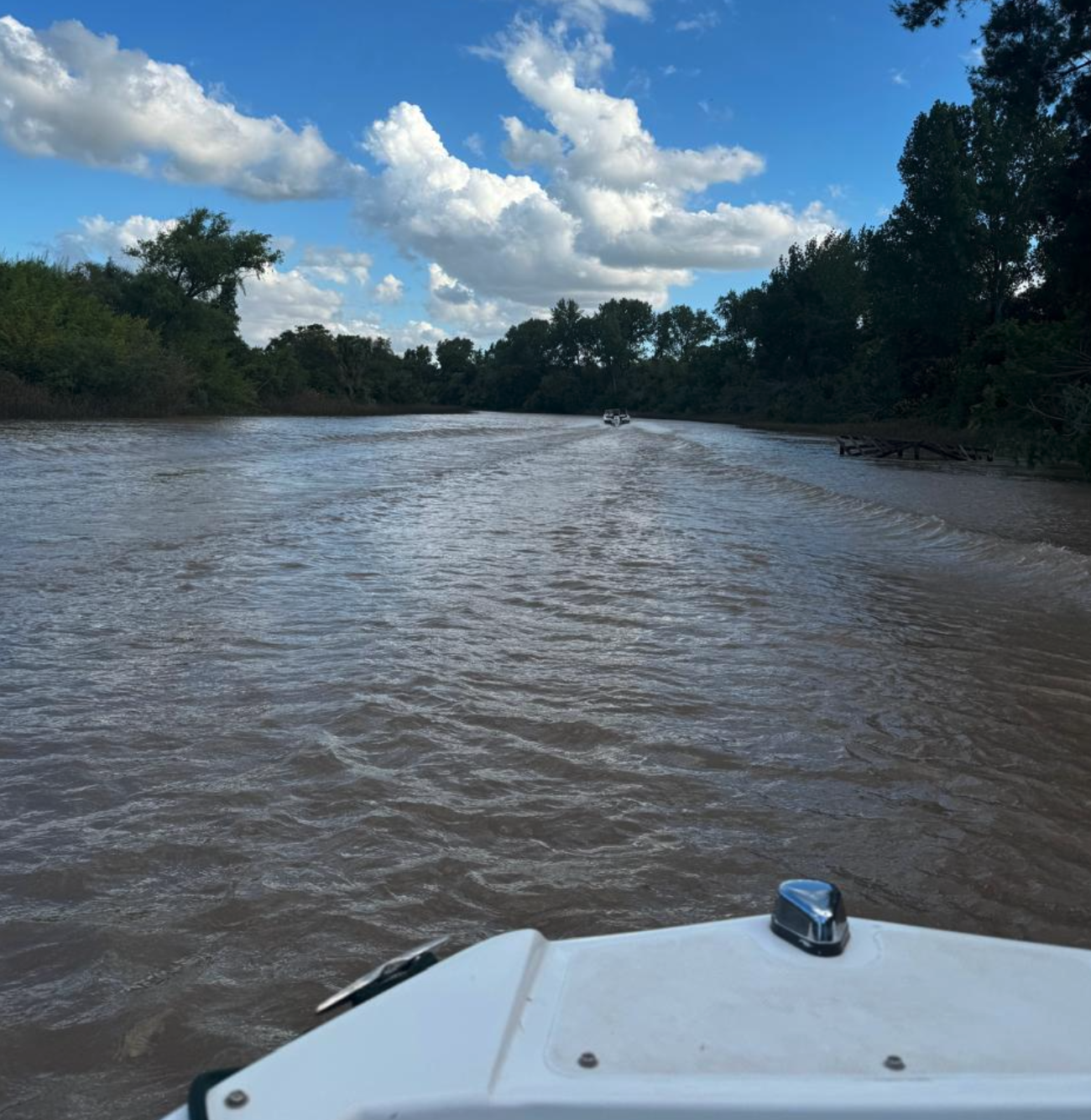 Lancha navegando por un arroyo del Delta